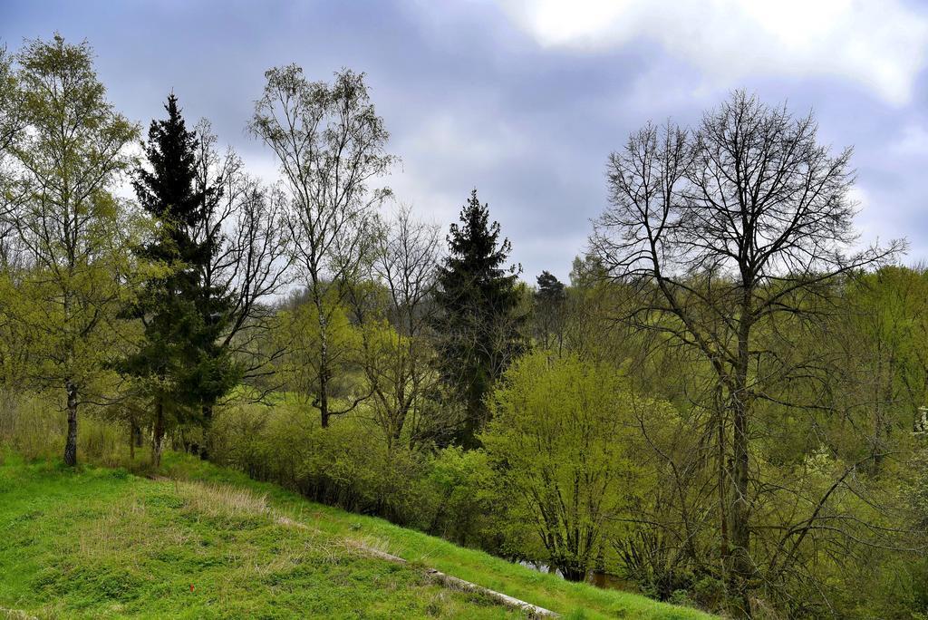 Holiday Home Turovec Tabor Exterior photo